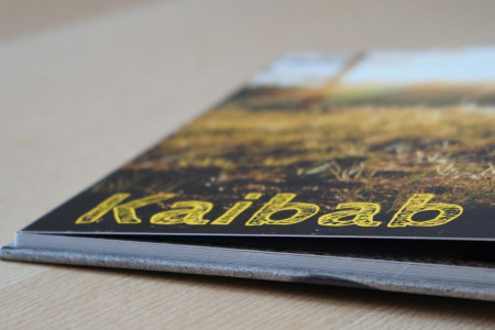 fotoblitz fotobuch 1