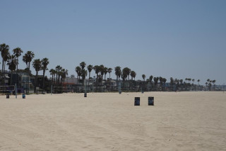 tag7 venice beach