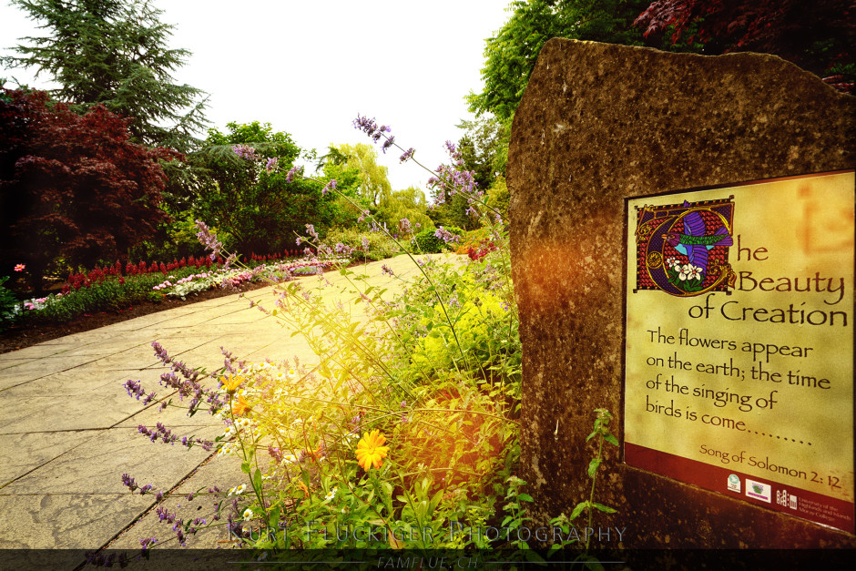 image biblical garden elgin