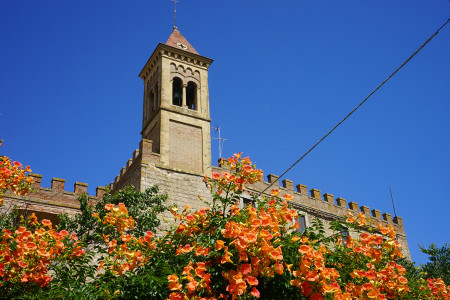 bolgheri