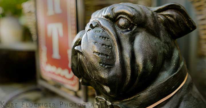 Hundekopf einer Eisenstatue