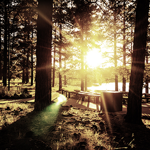 Sonnenuntergang im Kaibab National Forest