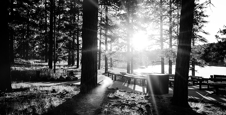 Sonnenuntergang im Kaibab National Forest