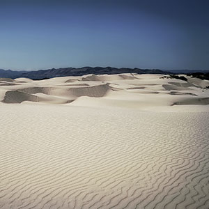 Pacific Dunes Wallpaper