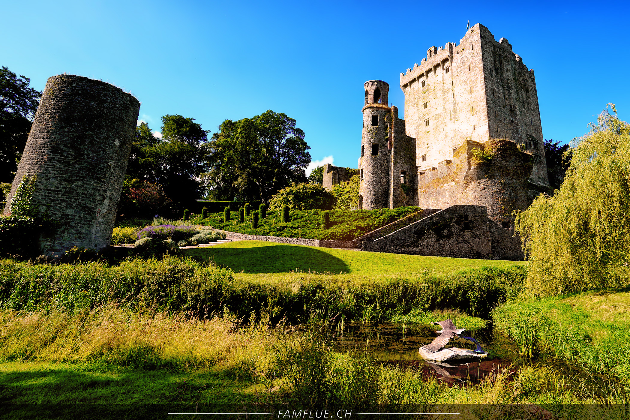 blarneycastle62 2100