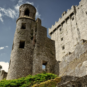 image from blarney castle corkcounty by kfphotography