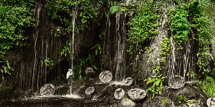 image from blarney garden corkcounty by kfphotography