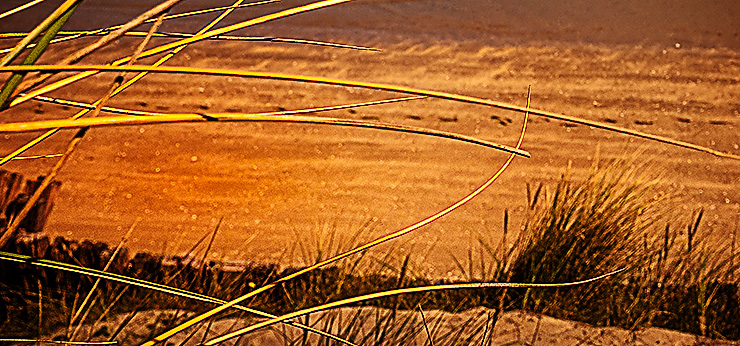 image from "Utah Beach -  Normandy" by kfphotography