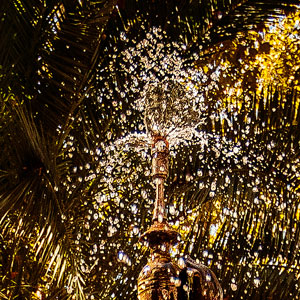 image from «Jardines de Albia»  by kfphotography