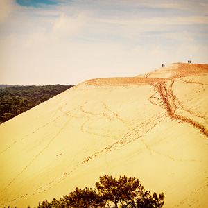 image from "Dune of Pilat" by kfphotography