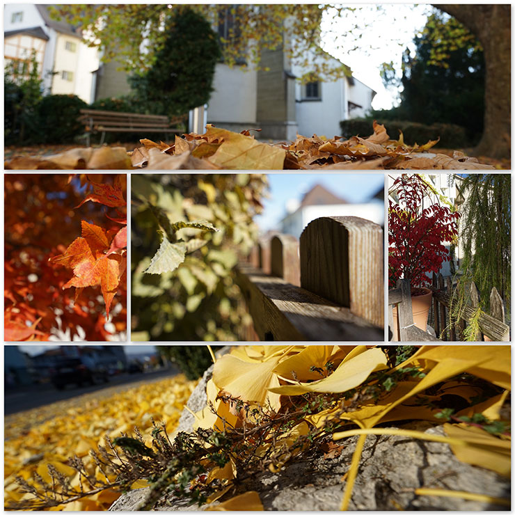 Herbst2015 Collage 740px