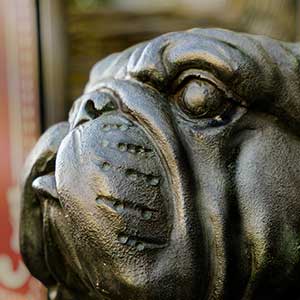 Hundekopf einer Eisenstatue